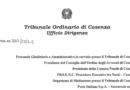 Interruzione corrente elettrica Tribunale di Cosenza Interruzione corrente elettrica Tribunale di Cosenza